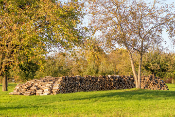 Baumstämme zu Brennholz gesägt und gestapelt © focus finder