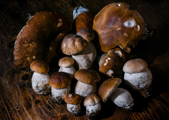 mushrooms on wooden background