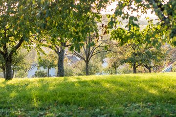 Baumgrundst&uuml;ck am Ortsrand