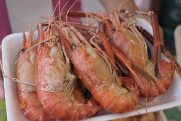 Close-up grilled shrimp on white background
