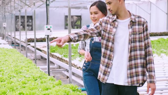 4k slow handheld asian couple farmer takecare and discuss how to growth plant in hydroponic farn greenhouse background