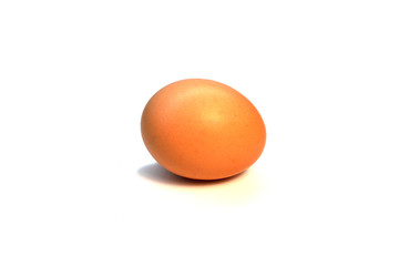 One chicken egg on a white background