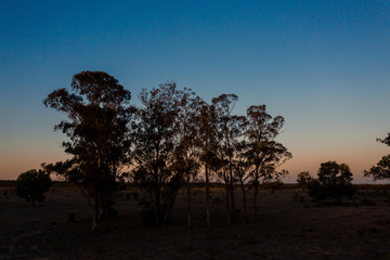 Fototapeta na wymiar sunset in the outback