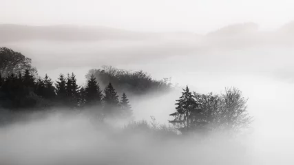 Papier Peint photo Noir et blanc Belle photo d& 39 une forêt dans un brouillard avec un fond nuageux noir et blanc, idéal pour le fond