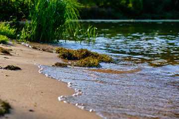 Fototapeta premium The coastline on the beach is not a lake