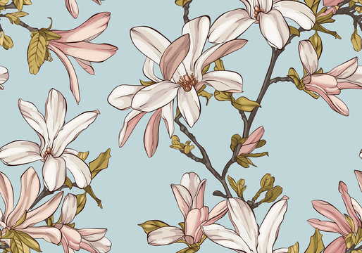 Seamless pattern with  beautiful spring magnolia flowers