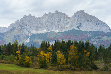 Mountains and Autumn Forest in Austria (Kaisergebirge)