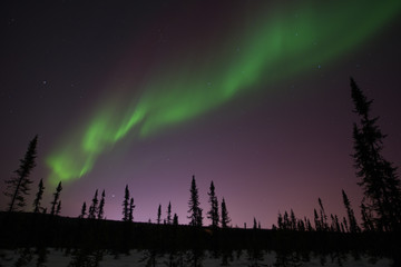 Auroras in the Fairbanks Light Pollution