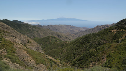 Fototapeta na wymiar Zona Recreativa de Las Nieves, La Gomera, Santa Cruz de Tenerife, Islas Canarias, España