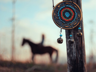 Native american mascot horse happiness
