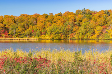 Towada Hachimantai National Park in early autumn