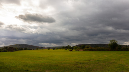 A big pasture in front of a dark forest in the middle of Germany. A brown horse runs lonely across the field. Menacing clouds in the sky.