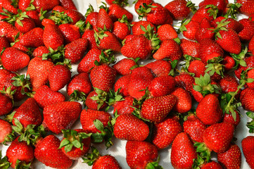 strawberries in a basket