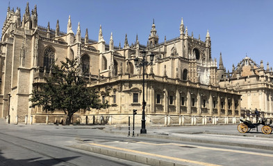 Naklejka premium Cathedral of Santa Maria de la Sede
