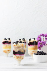 Tasty blueberry creamy dessert on holiday.