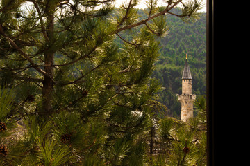 mosque minaret behind trees, background