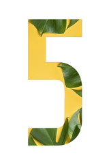 Tropical flower font number 5 made of real alive flowers monstera on white background with paper...