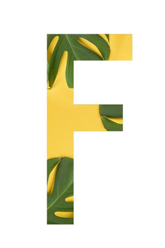Flower font Alphabet F made of Real alive flowers monstera on yellow background with paper cut shape of letter. Collection of flora font for your unique decoration in summer