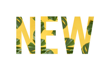 Tropical flower font Alphabet NEW made of Real alive flowers monstera on yellow background with paper cut shape of letter. Collection of flora font for your unique decoration in summer