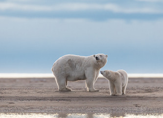 Waiting for Ice in a Changing World