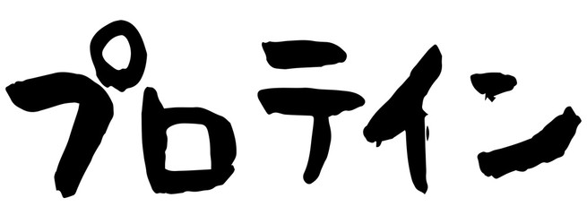 手書き筆文字　プロテイン