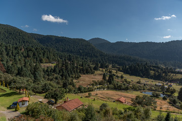 Fototapeta premium Parque nacional La marquesa, EDOMEX 05