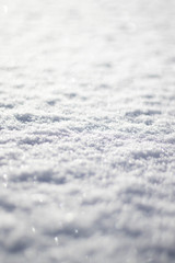 Obraz premium Snow Texture