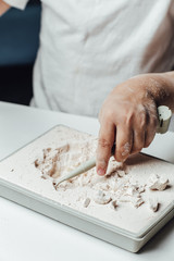 Archaeological excavations. hands closeup on a white background. Mammoth skeleton