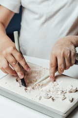 Archaeological excavations. hands closeup on a white background. Mammoth skeleton