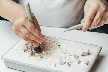Archaeological excavations. hands closeup on a white background. Mammoth skeleton