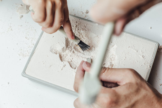 Skeleton and archaeological tools.Training for dig fossil.Simulated same as real digging. Archaeological tools, Archeaologist working on site, close-up, hand and tool.
