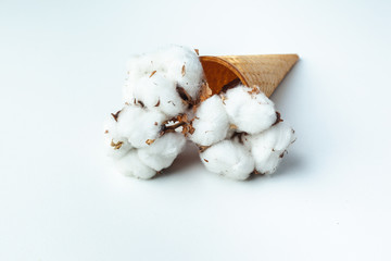 Beautiful flower in ice cream cone on white background. Flowers in Waffle Cone. Feel the taste of Spring. Minimalism Art Design