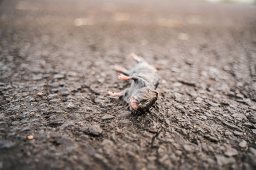 台風19号　丸森町