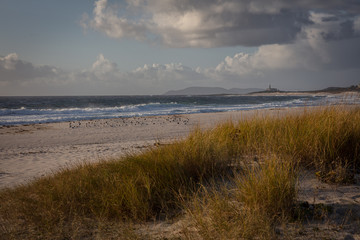 Fototapeta na wymiar Lariño beach, Galicia.