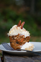 Carrot Cake Cupcake with Cream Cheese Icing with an Autumn Background