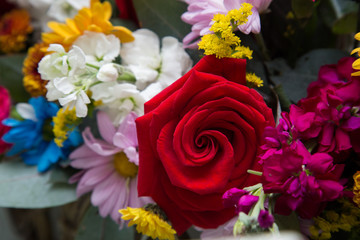Roses and Flowers