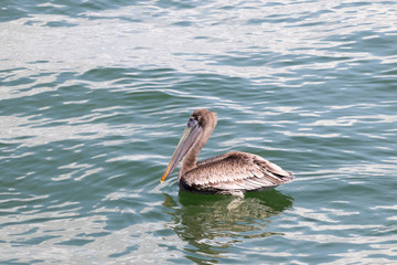 Florida's Sanibel Island