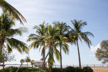 Fototapeta na wymiar Florida's Sanibel Island