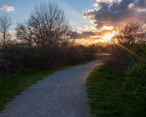 Fototapeta na wymiar sunset path