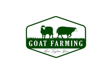 goat or sheep farming vector illustration for logo or label