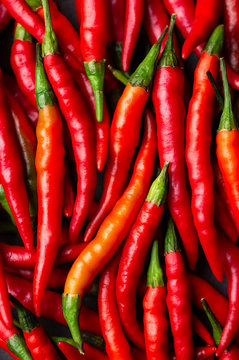 Close up of red hot Cayenne peppers