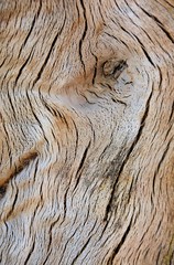 cracks on a dry wood