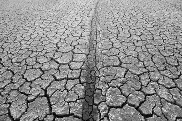 The land that is dry and cracked in summer