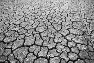 The land that is dry and cracked in summer