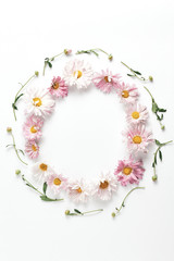 Fototapeta na wymiar floral concept. wreath of pink chrysanthemums and green leaves on a white background. space for text, flat lay, vertical frame.
