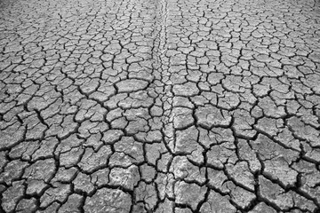 The land that is dry and cracked in summer