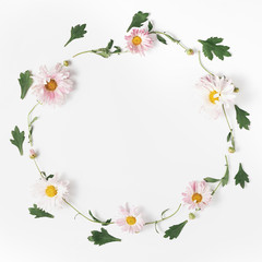 Fototapeta na wymiar wreath made of flowers. beautiful composition pink chrysanthemums and green leaves on a white background.minimal concept, square frame, top view