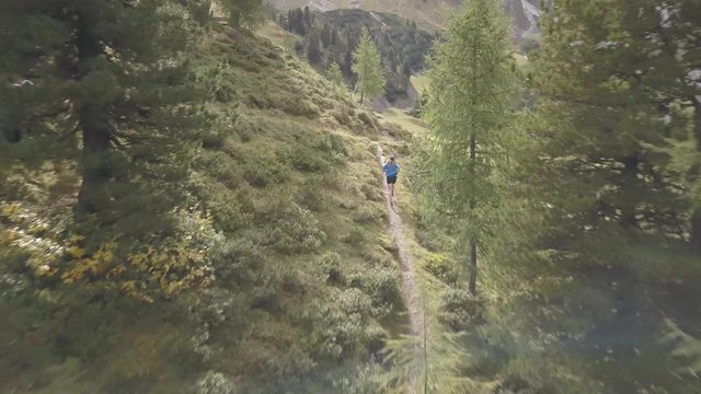Drone Shot Trail runner running out of forest into the mountains, alpine runner, cross country follow drone shot 4k UHD ultrarunner, athlete
