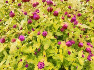 Pink red flower tree Illustrations creates an impressionist style of painting.