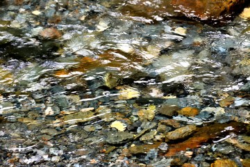 clear river water